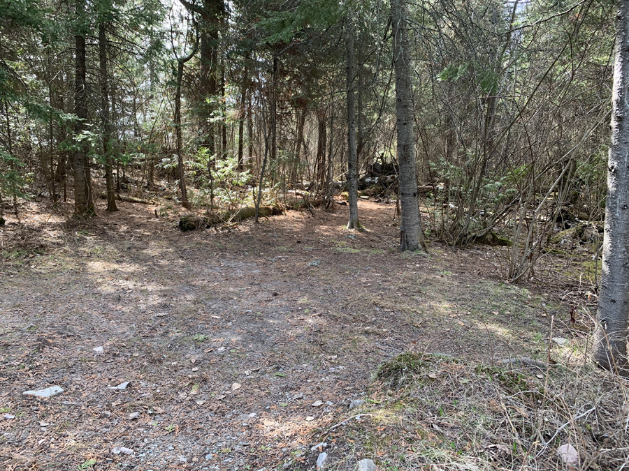 Newfound Lake Campsite 5