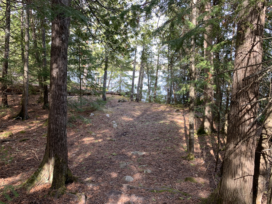 Newfound Lake Campsite 6