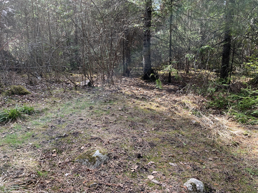 Newfound Lake Campsite 7