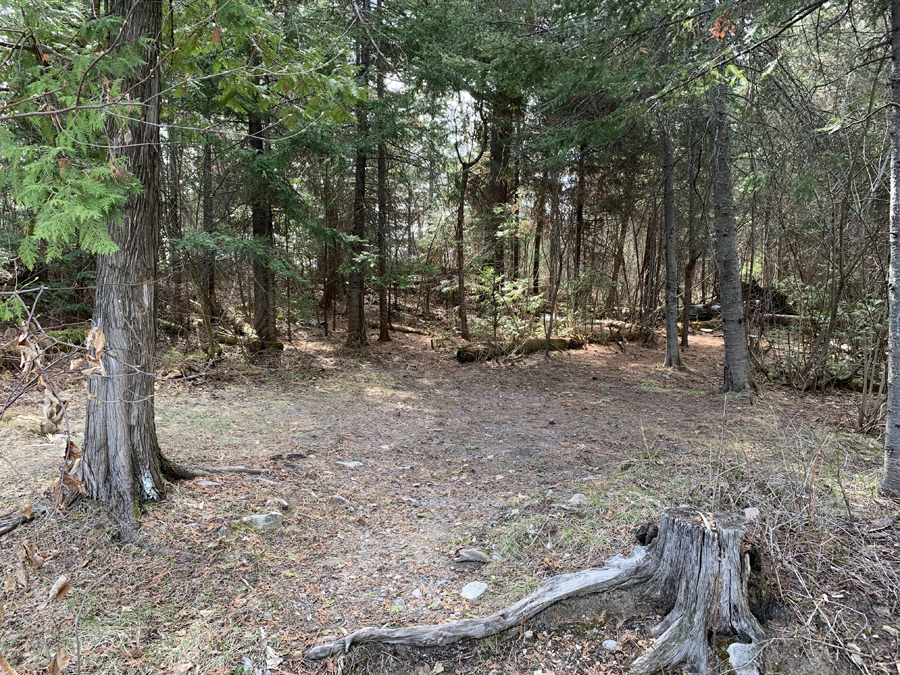 Newfound Lake Campsite 9