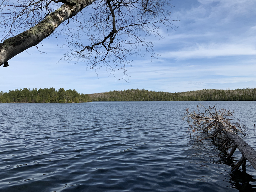 Newfound Lake Campsite 9