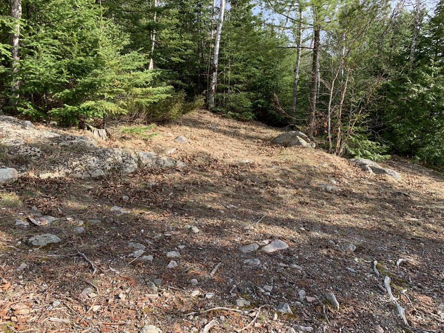 Newfound Lake Campsite 5