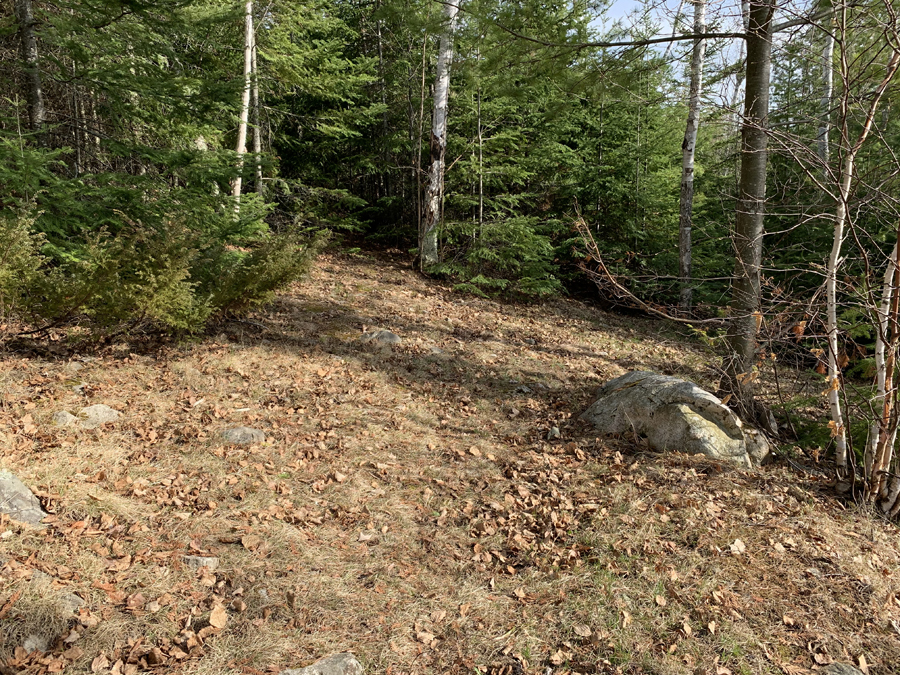 Newfound Lake Campsite 6