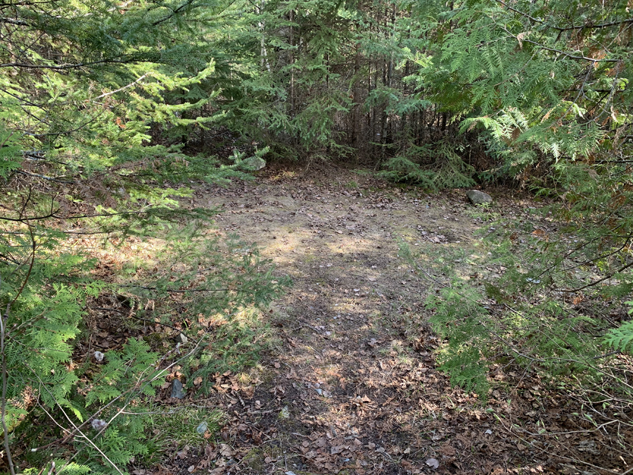 Newfound Lake Campsite 8