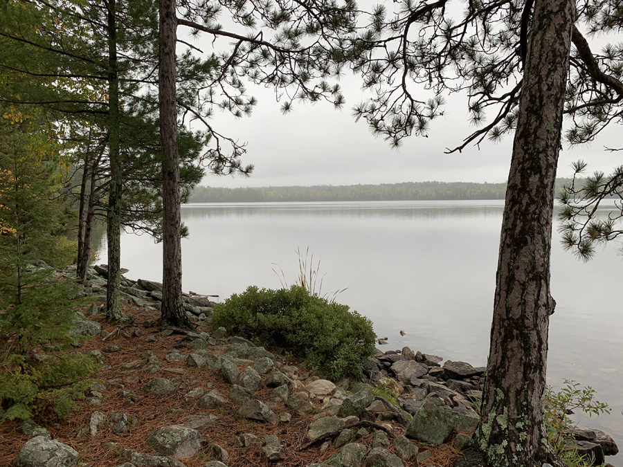 Lake One Campsite 11