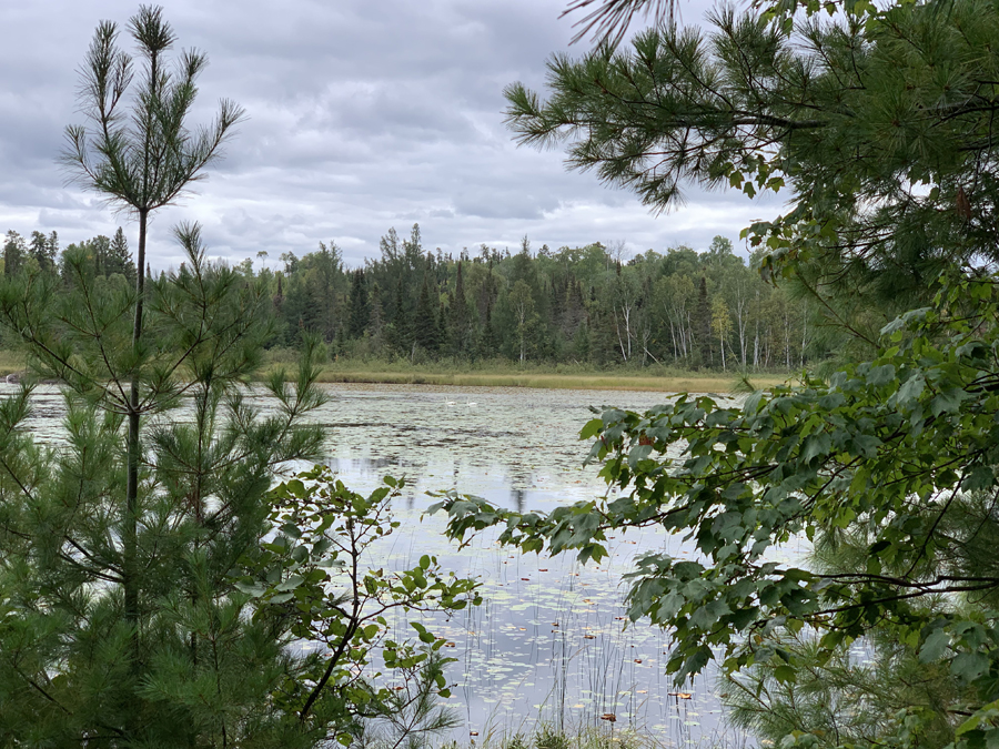 Range Lake Campsite 6