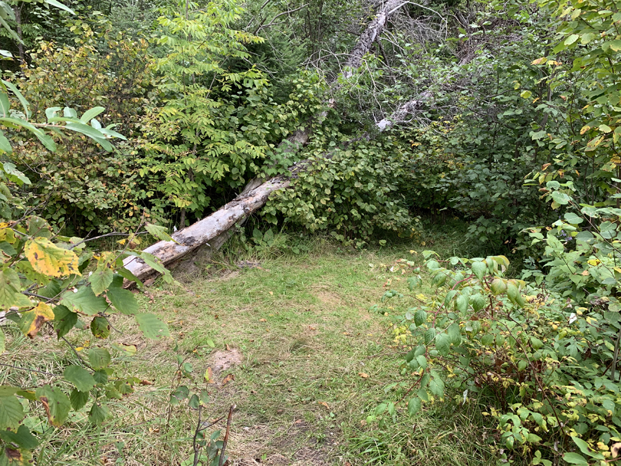 Sandpit Lake Campsite 5