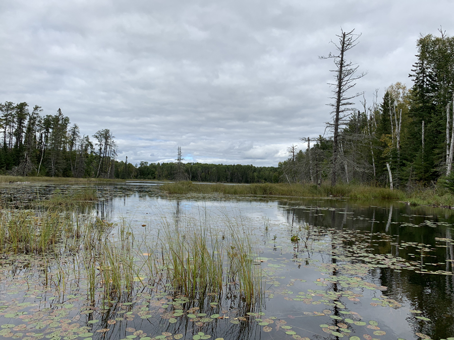 Sandpit Lake 5