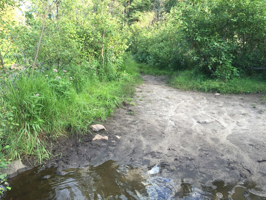 BWCA Entry Point 84 to the Snake River Portage 3