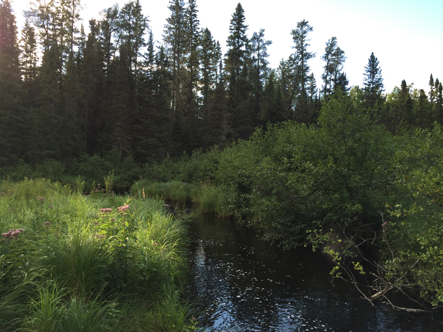 BWCA Entry Point 84 to the Snake River Portage 2