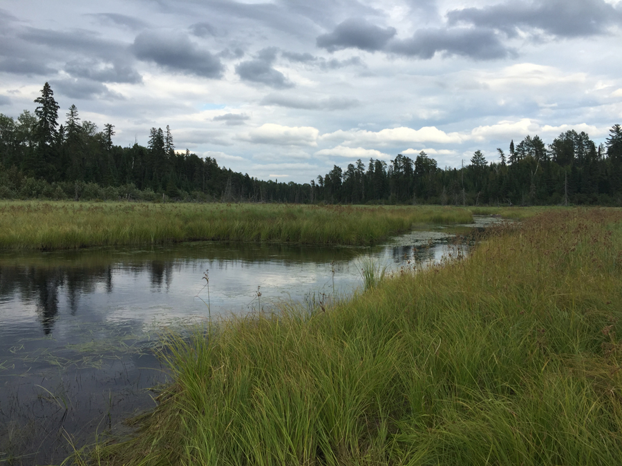 Stuart River 2