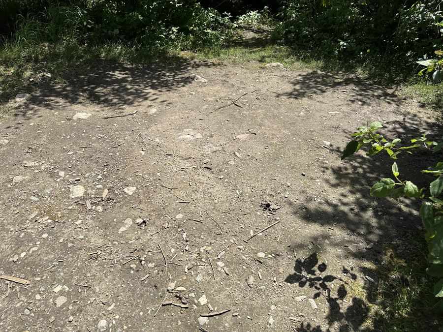 Wood Lake Campsite 3A