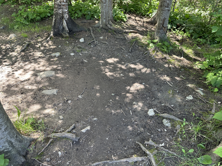 Wood Lake Campsite 5A