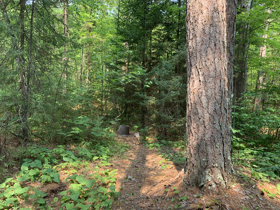 Big Lake Campsite 6