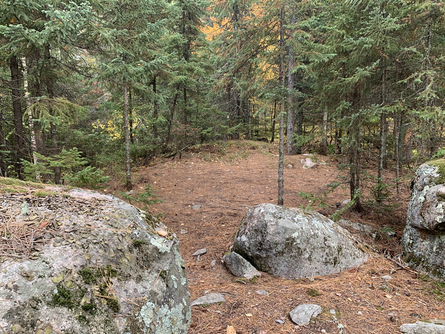 Big Moose Lake Lake Campsite 4