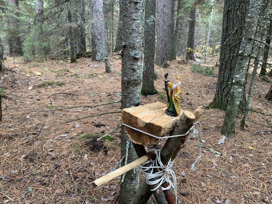 Big Moose Lake Lake Campsite 6