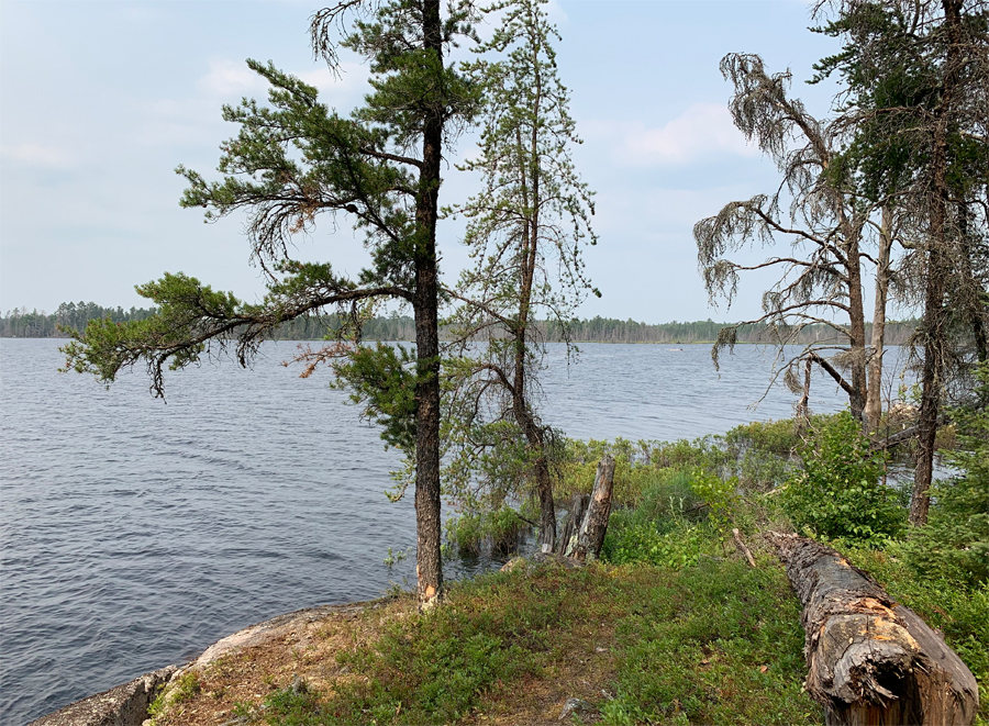 Big Rice Lake Campsite 8