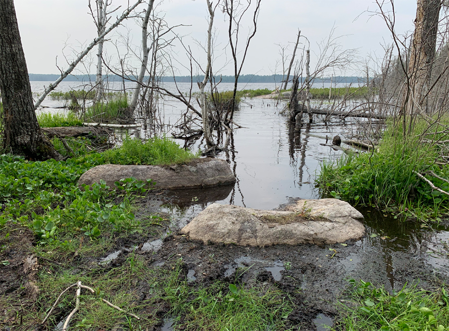 Big Rice Lake to Hook Lake Portage 9