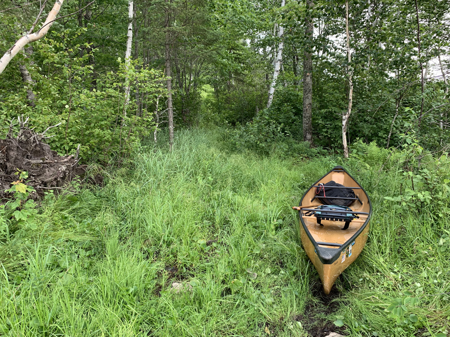 Big Rice Lake to Hook Lake Portage 6