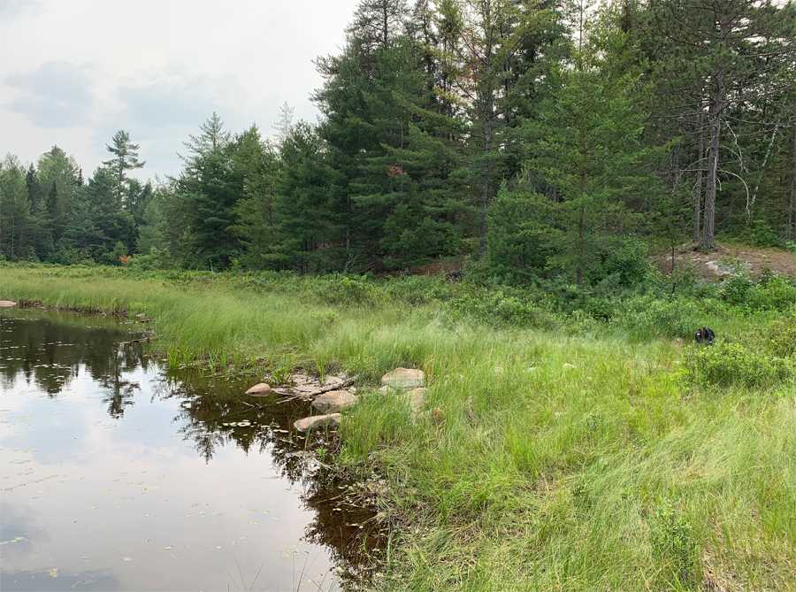 Big Rice Lake to Hook Lake Portage 8