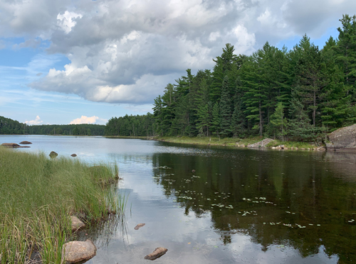 Big Rice Lake to Hook Lake Portage 2