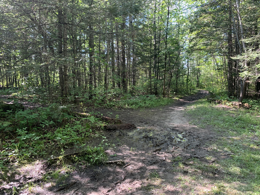 Little Indian Sioux River to Lower Pauness Lake Portage 2