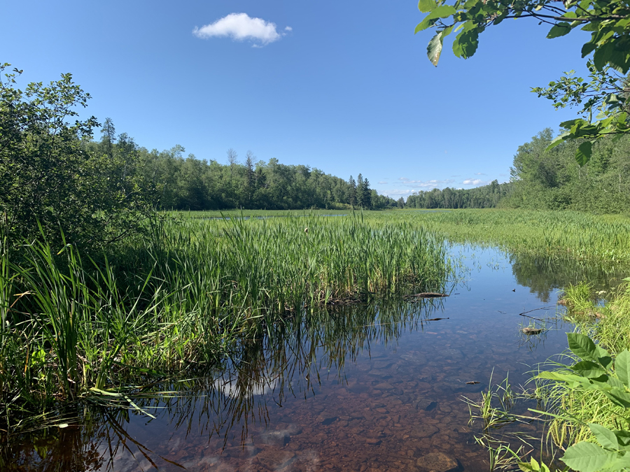 Little Indian Sioux River to Lower Pauness Lake Portage 3