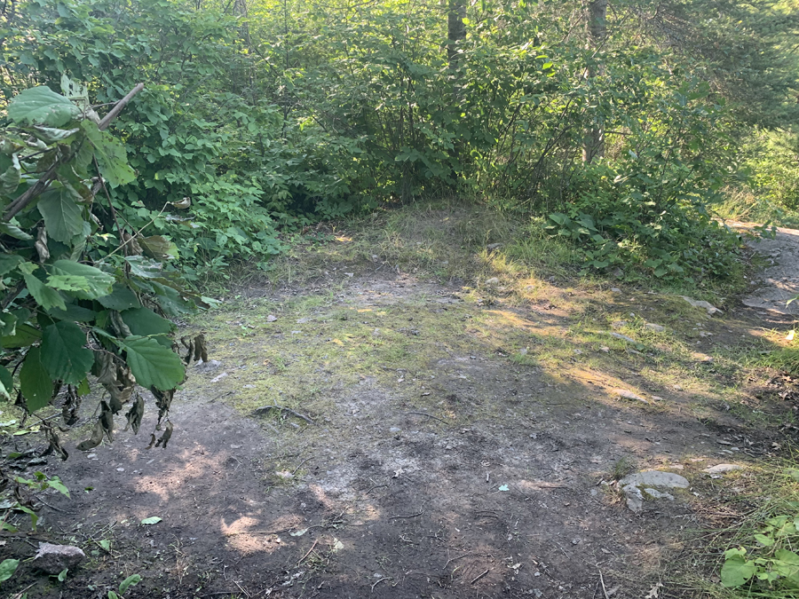 Lower Pauness Lake Campsite 5