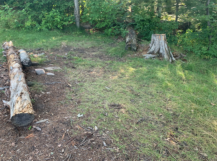 Lower Pauness Lake Campsite 3