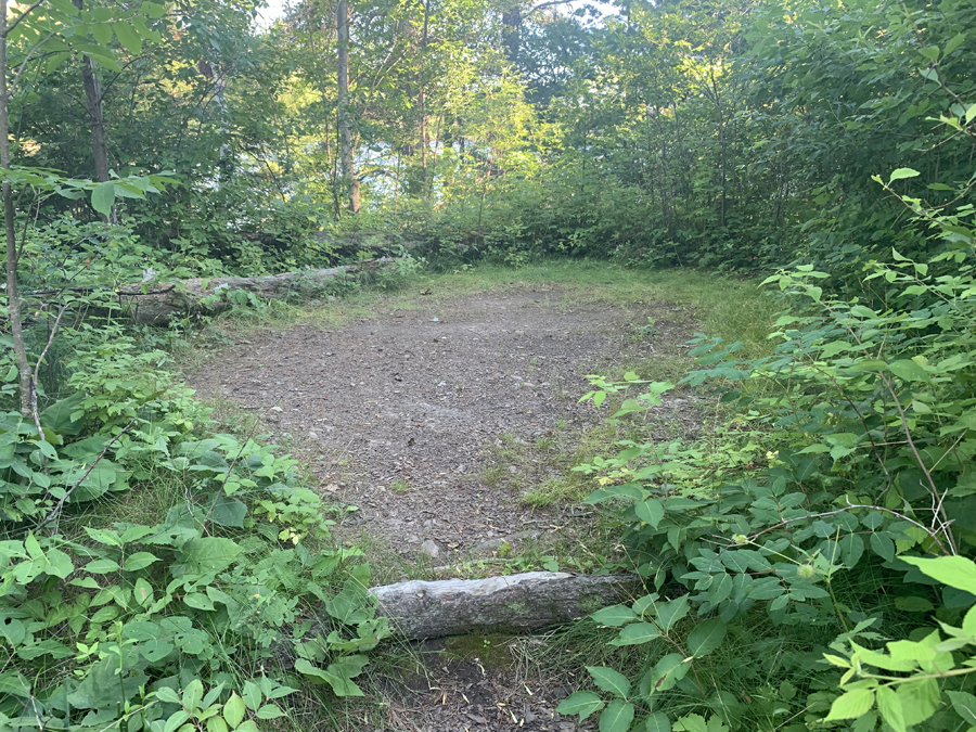 Lower Pauness Lake Campsite 5