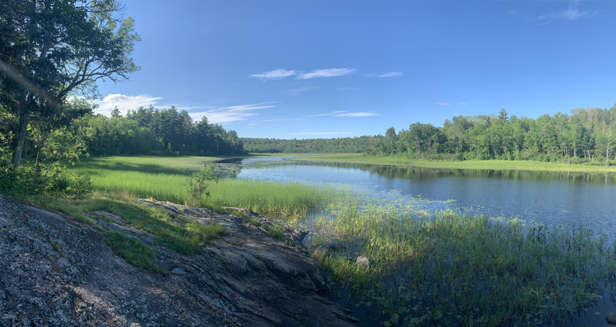 Lower Pauness Lake Campsite 7