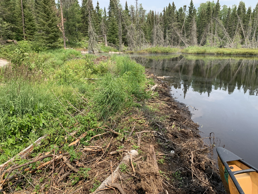 Portage River 3