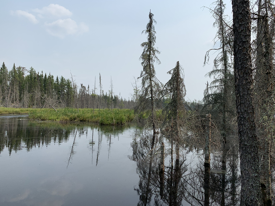 Portage River 2