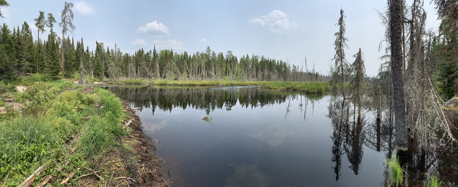 Portage River 6