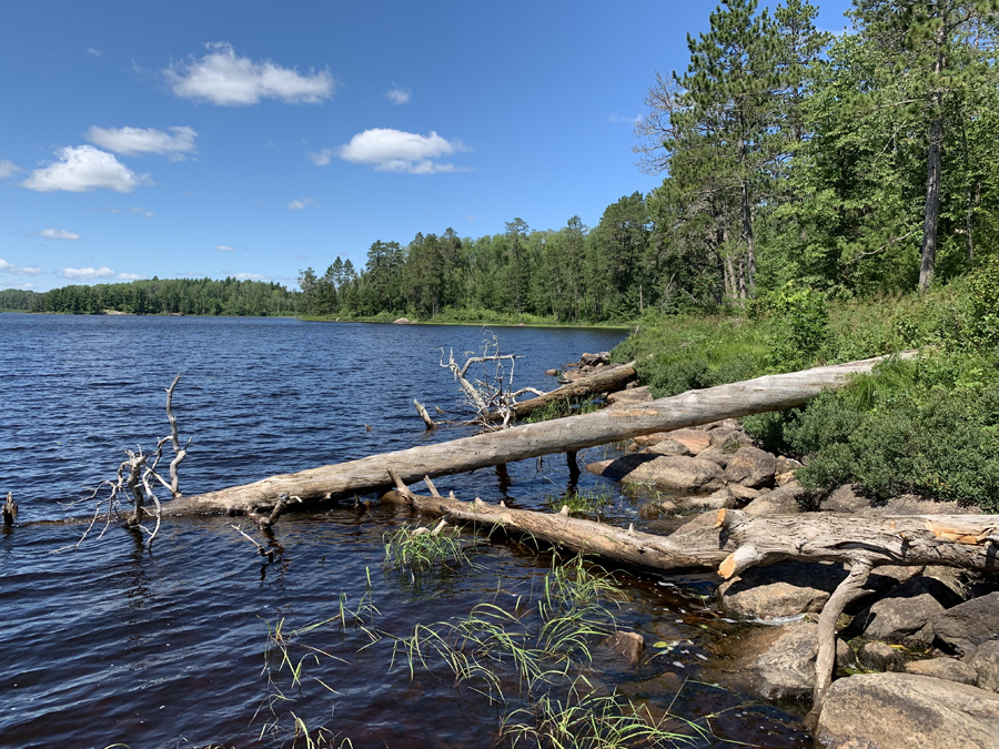 Upper Pauness Lake Campsite 8