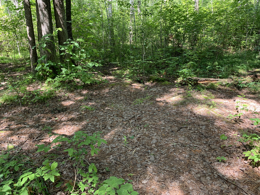 Upper Pauness Lake Campsite 8