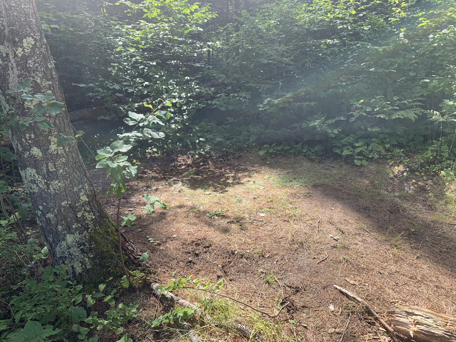 Upper Pauness Lake Campsite 4