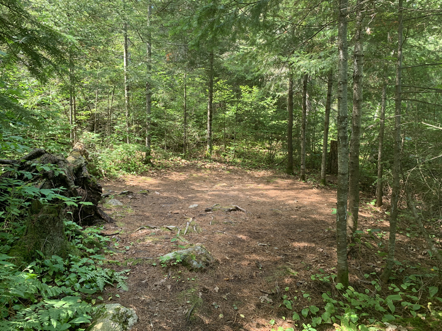 Upper Pauness Lake Campsite 7