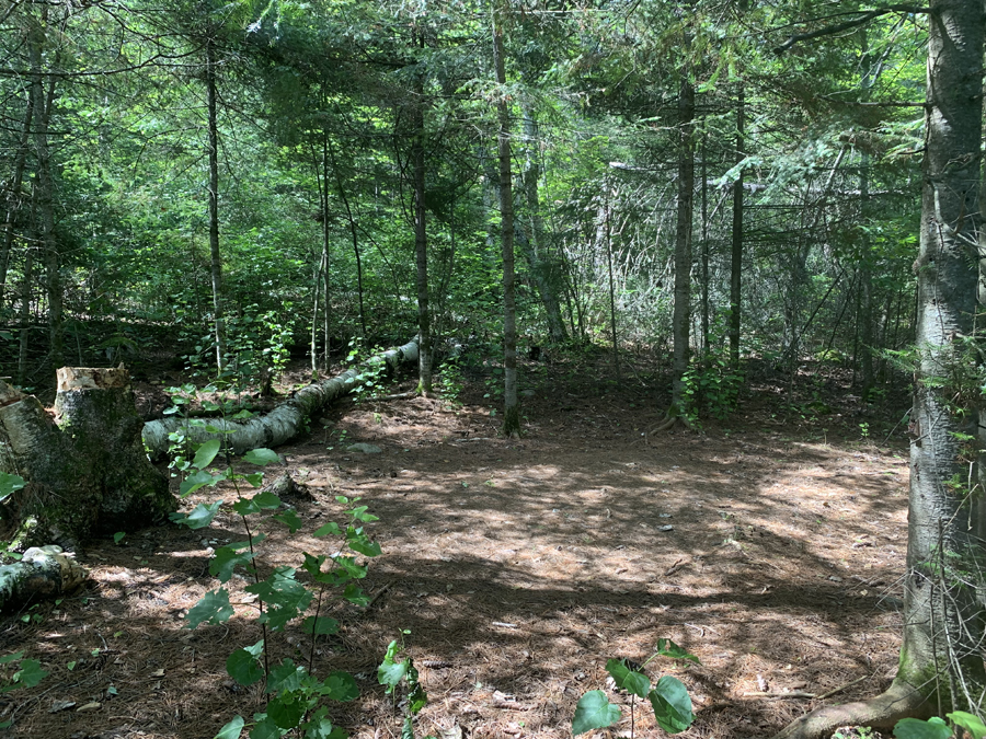 Upper Pauness Lake Campsite 8