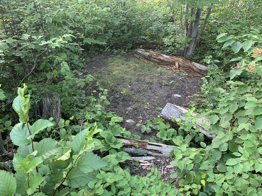 Upper Pauness Lake Campsite 5