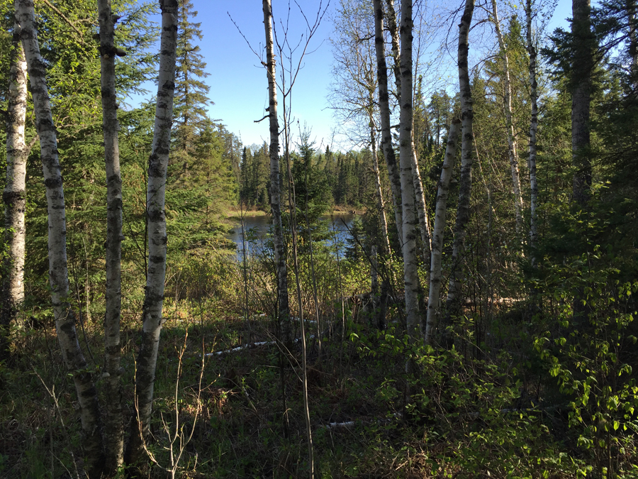 Ada Lake to Ada Creek Portage 2