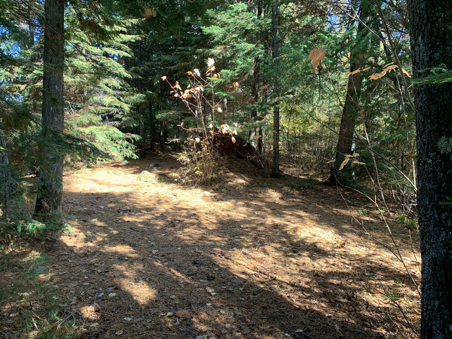 Alton Lake Campsite 6