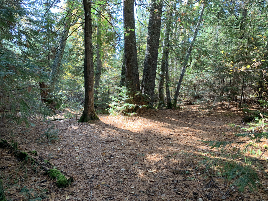 Alton Lake Campsite 7