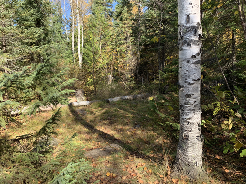 Alton Lake Campsite 3