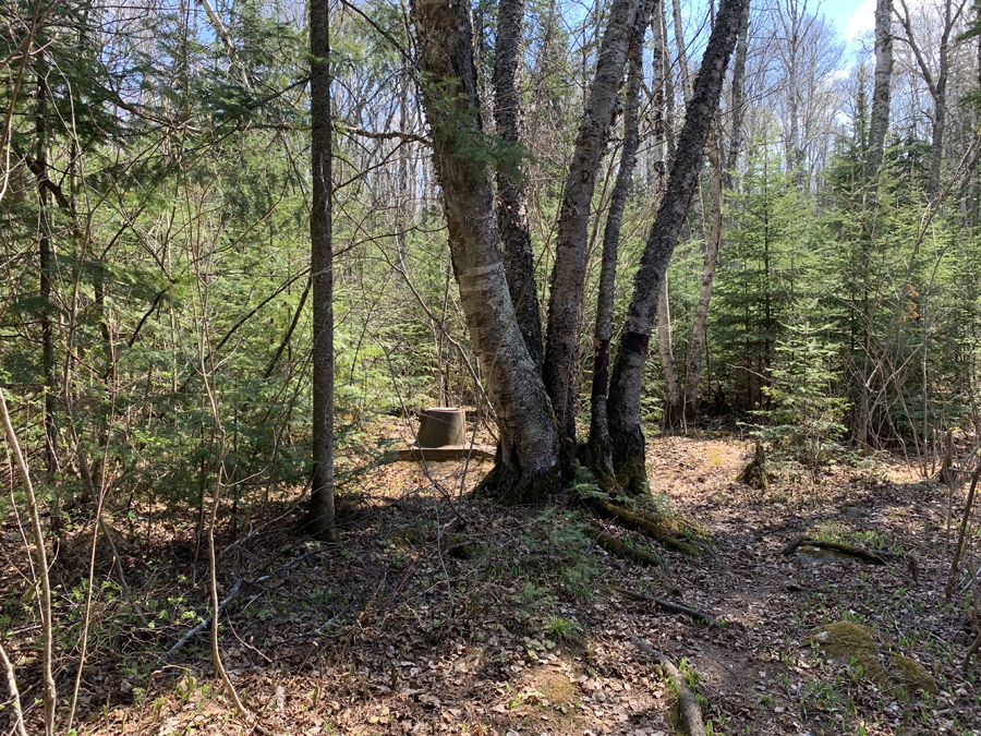 Alton Lake Campsite 8