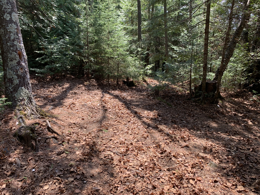 Alton Lake Campsite 6