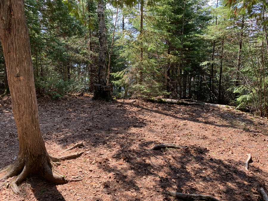 Alton Lake Campsite 5