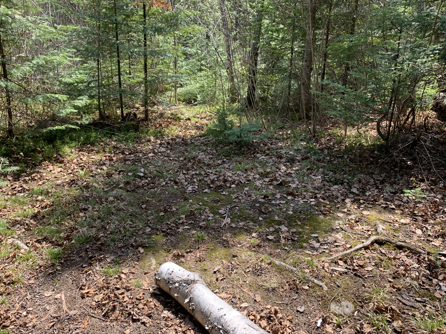 Alton Lake Campsite 7