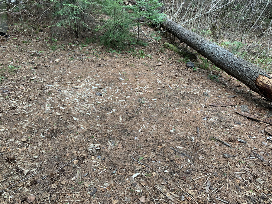 Alton Lake Campsite 5