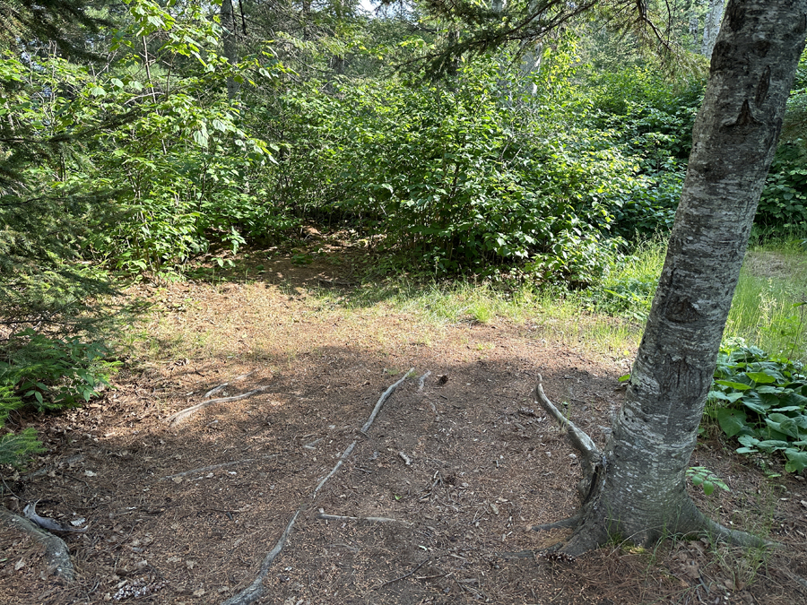 Alton Lake BWCA Campsite 7